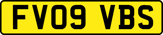 FV09VBS