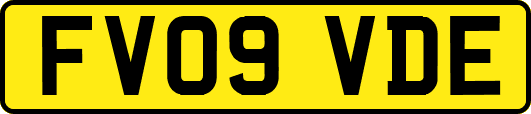 FV09VDE