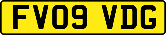FV09VDG