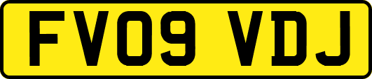 FV09VDJ