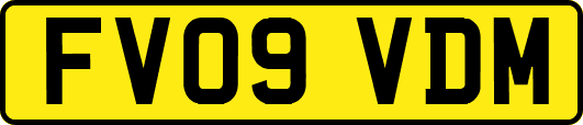 FV09VDM