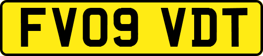 FV09VDT