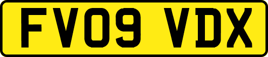 FV09VDX