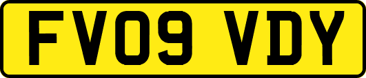FV09VDY