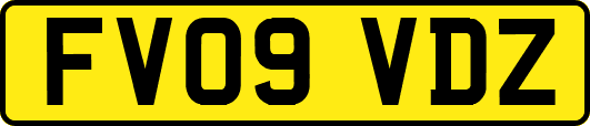 FV09VDZ