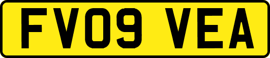 FV09VEA