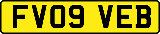 FV09VEB