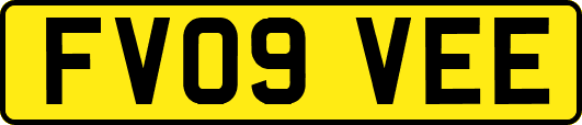 FV09VEE