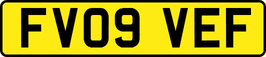 FV09VEF