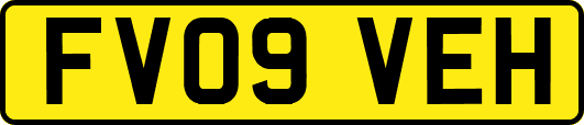 FV09VEH