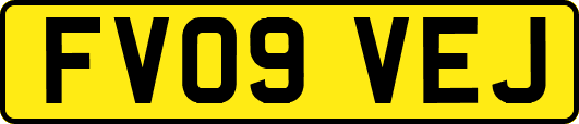 FV09VEJ