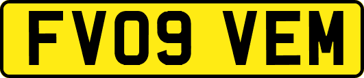 FV09VEM