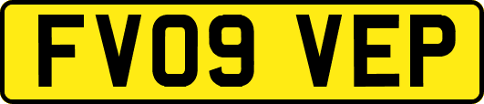 FV09VEP