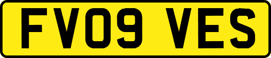 FV09VES