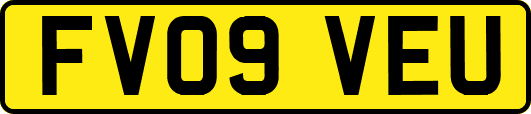 FV09VEU