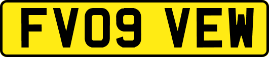 FV09VEW