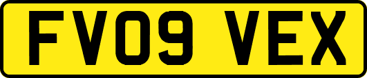 FV09VEX
