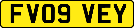 FV09VEY