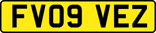 FV09VEZ