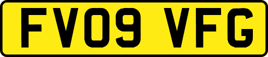 FV09VFG