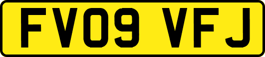 FV09VFJ