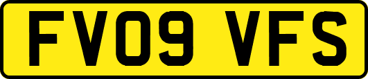 FV09VFS