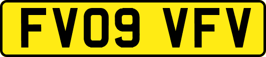FV09VFV