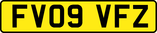 FV09VFZ