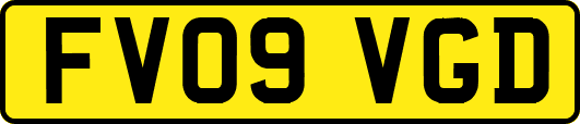 FV09VGD