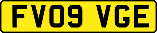 FV09VGE