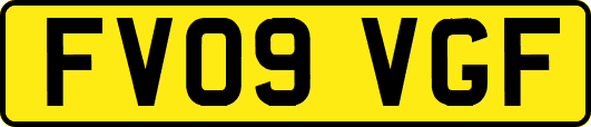 FV09VGF