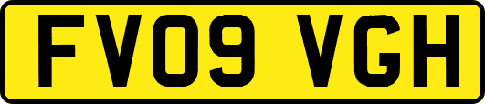 FV09VGH