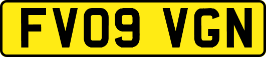FV09VGN