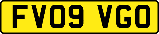 FV09VGO