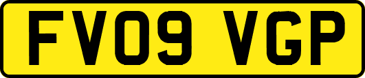 FV09VGP