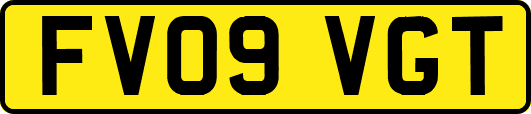 FV09VGT