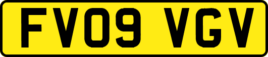 FV09VGV