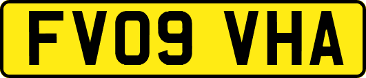 FV09VHA
