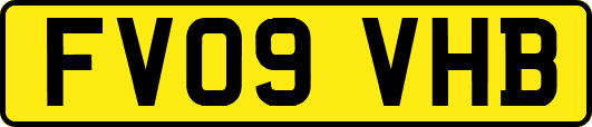 FV09VHB