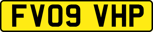 FV09VHP