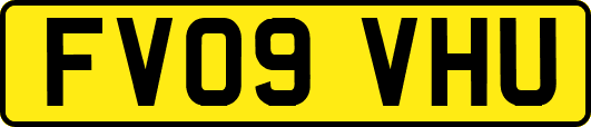 FV09VHU