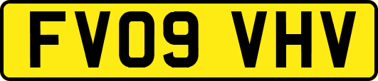 FV09VHV