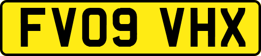 FV09VHX
