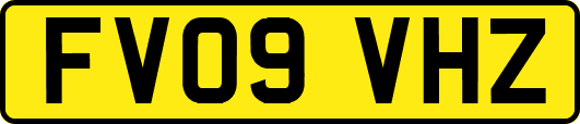 FV09VHZ