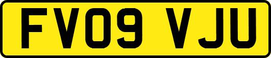 FV09VJU