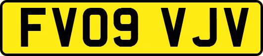 FV09VJV