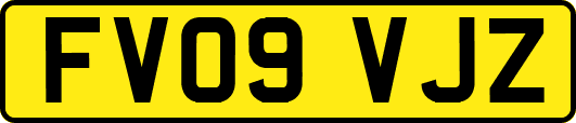FV09VJZ