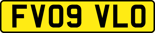 FV09VLO