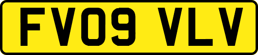 FV09VLV