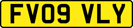 FV09VLY